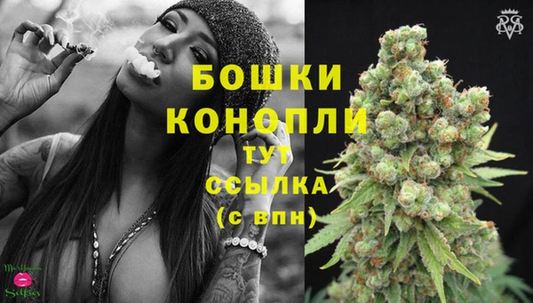 spice Белокуриха