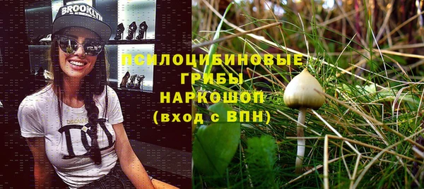 молекула духа Беломорск