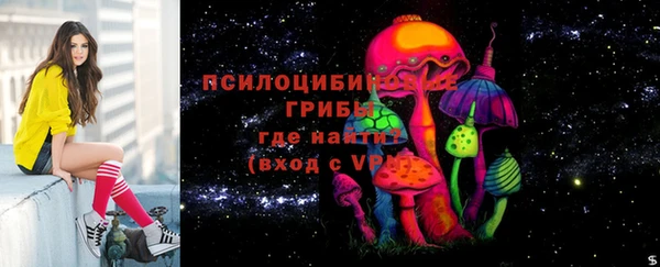 spice Белокуриха