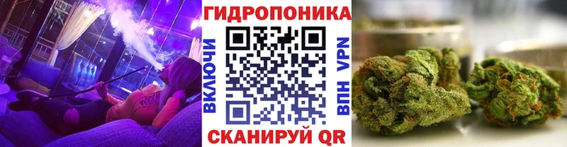 магазин    Будённовск  Бошки марихуана AK-47 